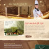 Theme WordPress Bánh Trung thu 3