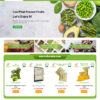 Theme WordPress Trái cây đông lạnh